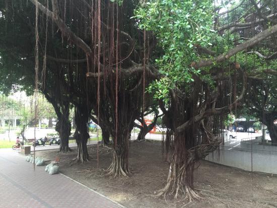 Taichung Yingcai Kid's Park